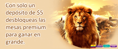 Cashback VIP Semanal